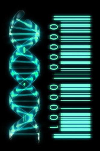 Biophotonics-the-Science-behind-Energy-Healing-DNA-as-Genetic-Barcode