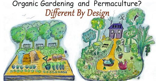 organic-gardening-and-permaculture