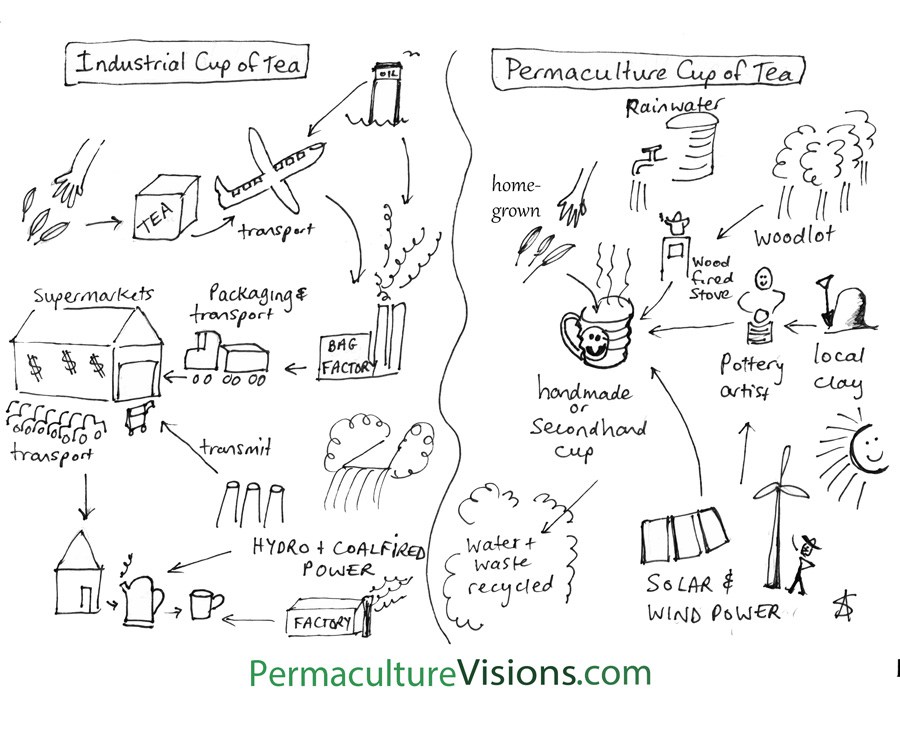 permaculture-cup-of-tea