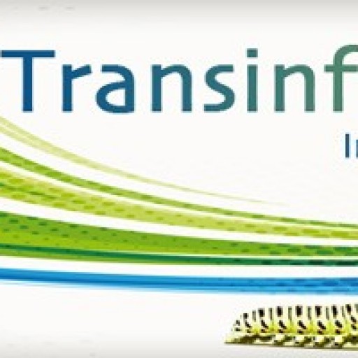 (c) Transinformation.net