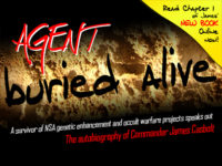 Agent Buried Alive  -  Geheimdienstagent lebendig begraben