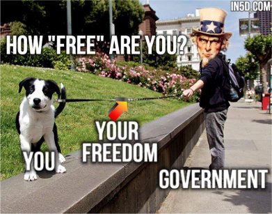 freedom-leash
