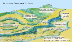 permaculture_farm_Ideas-1024x601