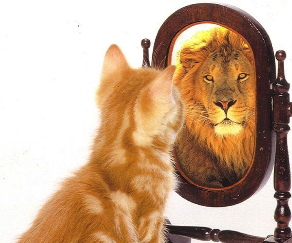 Spiegel, Spiegel an der Wand – Wer ist die Schönste von allen?
