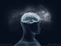 Einfache Möglichkeiten, dein Gehirn vor Neurotoxizität zu schützen