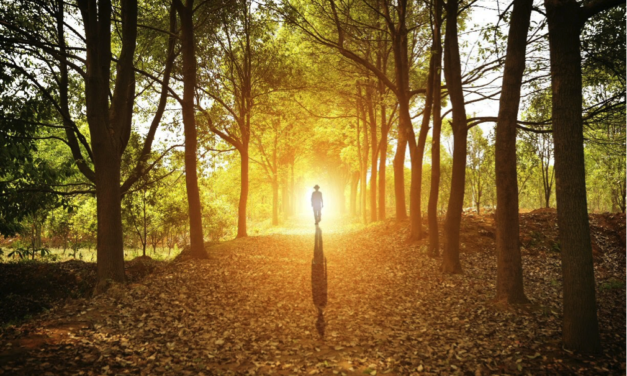 Verschieben von Zeitlinien – Wie man in Zeiten der Corona-Sperre seine Aufmerksamkeit einsetzt