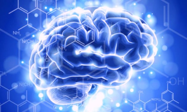 Wie deine Gehirnwellen deine Realität erschaffen und formen