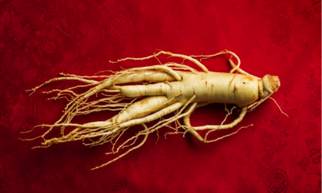 Ginseng könnte besser funktionieren als Chemo und Strahlung – wir berichten, wieso…..