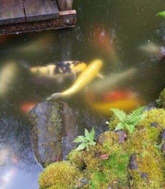 Führe Frieden, nicht Krieg ~ Eric Raines ~ 22. März 2019