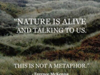 Die Natur ist lebendig ~ Terence McKenna & Eric Raines