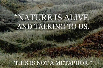 Die Natur ist lebendig ~ Terence McKenna & Eric Raines
