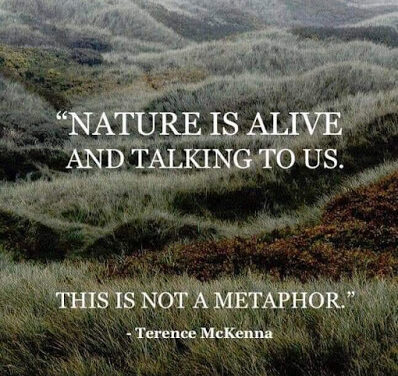 Die Natur ist lebendig ~ Terence McKenna & Eric Raines