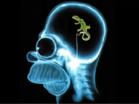 Den Bann des Reptilienhirns brechen: Vom primitiven Gehirn zum entwickelten Geist