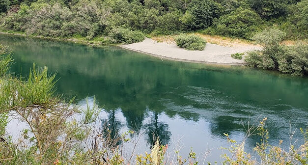 Organischer Aufstieg ~ Eric Raines ~ 15. Juli 2019