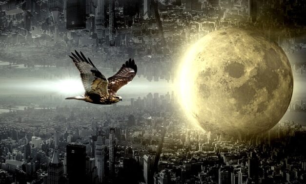 Zen Gardener ~ Die Ironie und die Ekstase