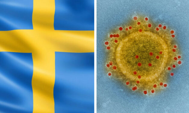 Hat Schweden das Richtige getan?