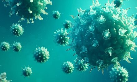 Warum hat scheinbar jeder vergessen, wie das Immunsystem funktioniert?