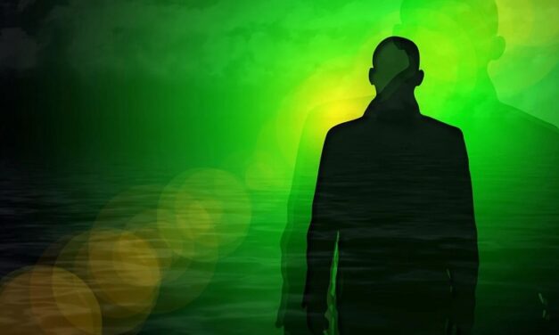 Das Grosse Warum und andere Beobachtungen