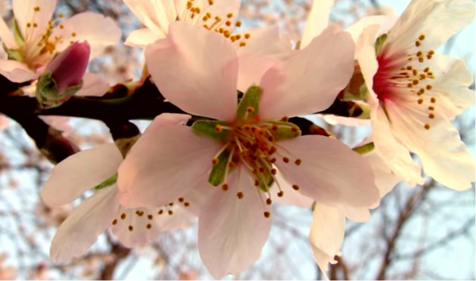 Es ist Frühling – Zeit, um mit Dankbarkeit zurückblicken und mit Hoffnung in die Zukunft zu schauen